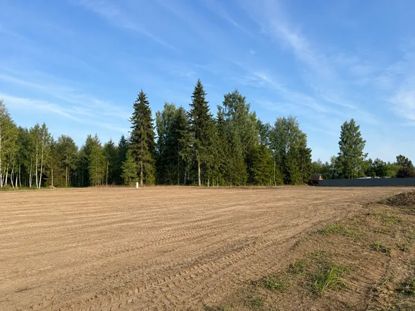 Nr. 8